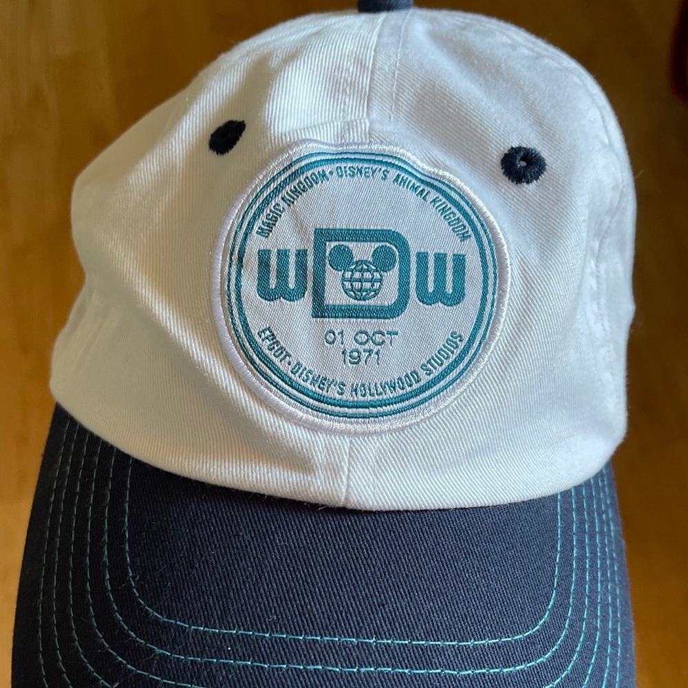 Clean White 2019 Walt Disney World adjustable hat.